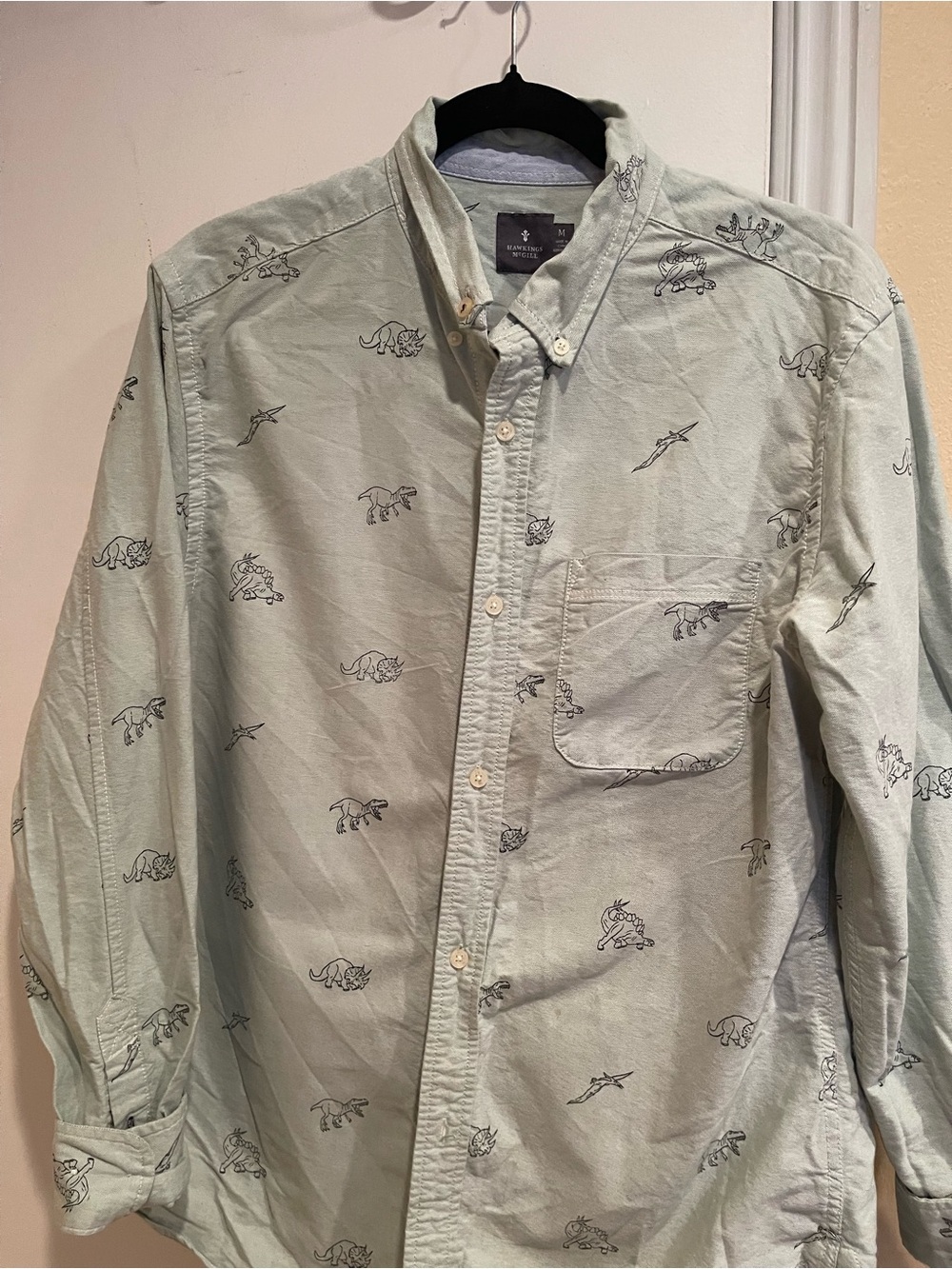 Button-Down Long Sleeve Shirt in Light Sage with Subtle Animal Print